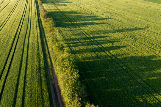 Germany, Bavaria,Aerial view of windbreak stretching along green countryside field in spring