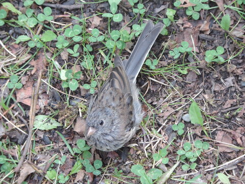 Blockby photos, images, assets | Adobe Stock