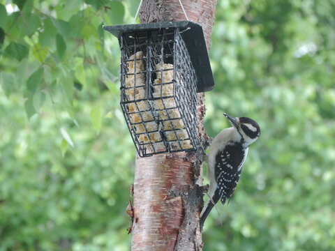 Blockby photos, images, assets | Adobe Stock