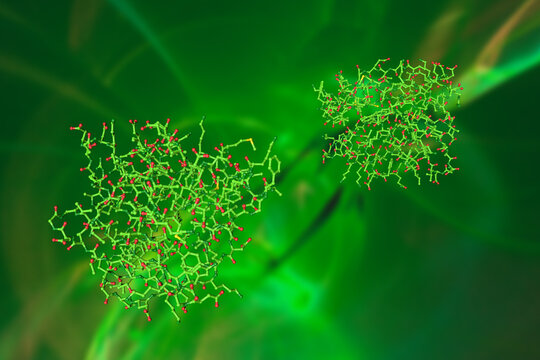 Human adipocyte fatty acid binding protein in complex with a carboxylic acid ligand. Molecules on green background. Rendering based on protein data bank. Scientific background. 3d illustration