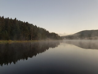 Naklejka na ściany i meble lake, fog, reflection,tree