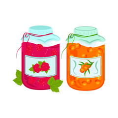 Raspberry and sea buckthorn jam in a jar. Vector set in flat style