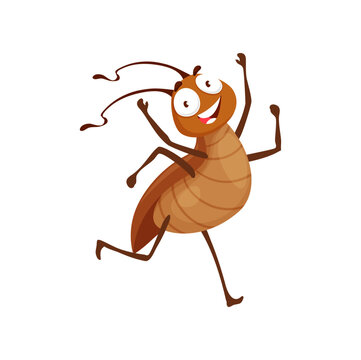Cockroach cartoon sale