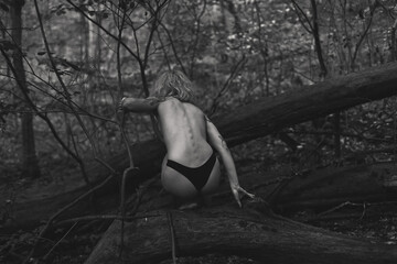 Naked woman sitting on fallen tree monochrome scenic photography. Picture of person with deep forest on background. High quality wallpaper. Photo concept for ads, travel blog, magazine, article