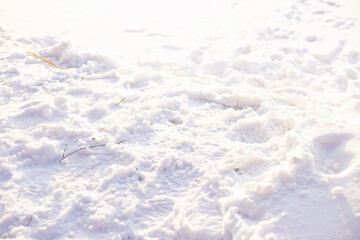 trampled white snow on sunny day, footprints in snow. Winter texture background