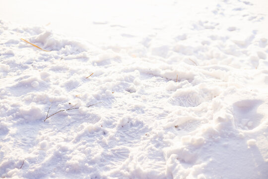 trampled white snow on sunny day, footprints in snow. Winter texture background
