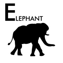 ALPHABET E WITH ELEPHANT EXAMPLE SILHOUETTE