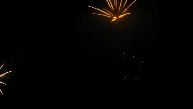Panoramic view of the colorful fireworks. Beautiful fireworks close-up view in slow motion. Wonderful real fireworks in the night sky shot with a telephoto lens. fireworks show. 4K slow motion video.