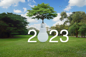 2023 white text with fresh tree on soil with led light bulb on green grass field and trees in park,...