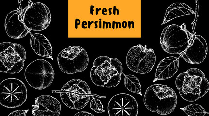 Persimmon fruit hand drawn design. Vector illustration. Design, package, brochure illustration. Persimmon fruit frame illustration. Design elements for packaging design and other.