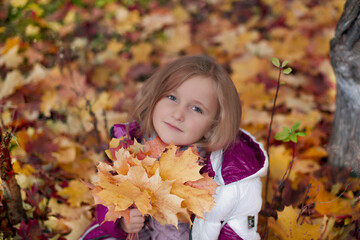 Naklejka na ściany i meble little girl on a background of yellow and red leaves. autumn. leisure