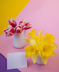White empty postcard near vases with spring flowers on colored background