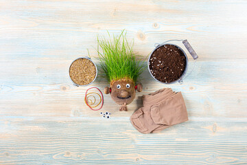Making of cute homemade grass head toy with various supply tools. Grass seeds, tights, eyes, rubber...