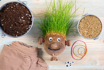Making of cute homemade grass head toy with various supply tools. Grass seeds, tights, eyes, rubber...