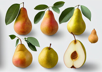 Collection of pear pieces of different shapes isolated on white background.