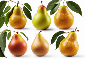 Collection of pear pieces of different shapes isolated on white background.