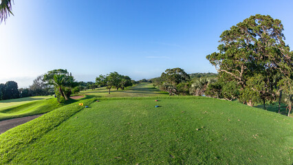 Golf Course Hole Tee Box  Fairway Trees Distant Green Early Morning Summer Coastal Sporting Landscape,