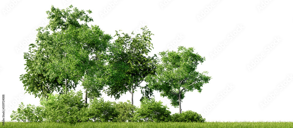 Aufkleber green trees, shrubs and meadow isolated on transparent background. forest or park design element. re