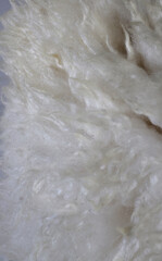 Fototapeta na wymiar texture of natural sheep's wool fibers