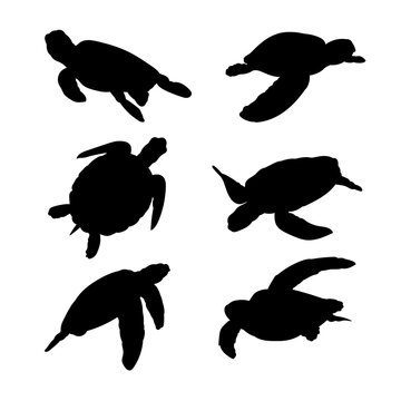 Set of silhouettes of sea turtles vector design