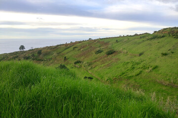 The green slopes of the mountains of the island of Madeira in the Atlantic Ocean.