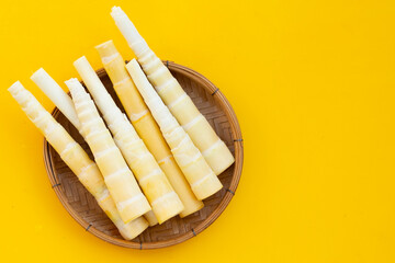 Bamboo shoots on yellow background.