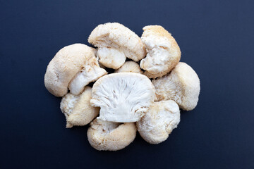 Fresh rare lion's mane mushroom