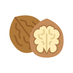 Walnut nut icon. Walnuts in nutshell and peeled walnut.