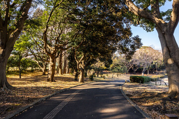 根岸森林公園の風景