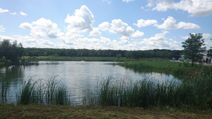 Obraz premium lake and forest