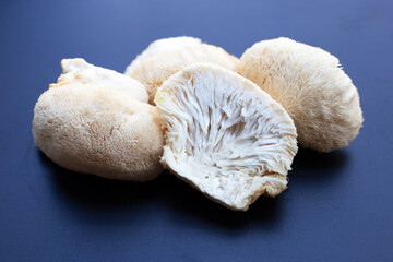 Fresh rare lion's mane mushroom
