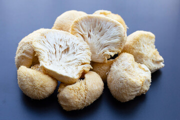 Fresh lion's mane mushroom on dark background.