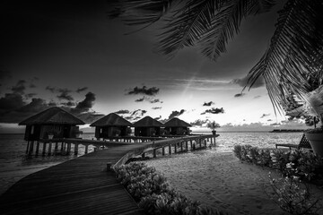 Black and white wooden bridge into paradise island. Tropical coast landscape, palm trees white sand...
