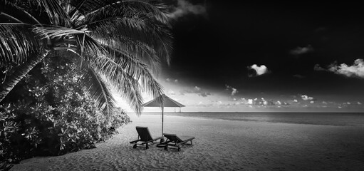 Black and white view of beautiful beach with palm tree leaves, dramatic dark sky white soft sand. Exotic monochrome panorama. Couple meditation inspiration landscape, paradise beach tranquil minimal