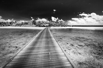 Black and white wooden bridge into paradise island. Tropical coast landscape, palm trees white sand exotic lagoon sea bay in dramatic monochrome. Tranquil travel background, minimal dark toned style