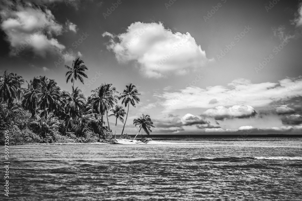 Poster Tranquil beach landscape in black and white. Dramatic monochrome paradise island inspire meditation travel background. Palm trees white sand dark sky artistic waves relax coast. Summer minimal travel