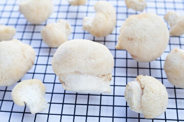Fresh lion's mane mushroom on white background.