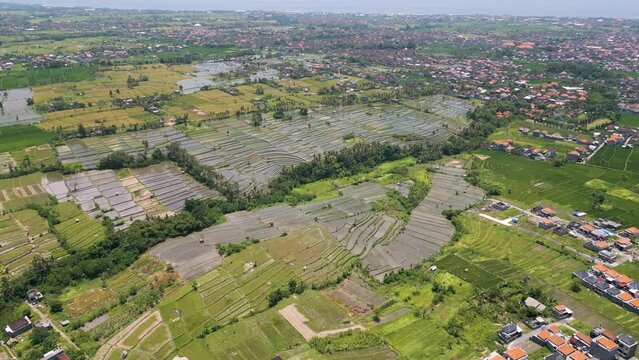 Aerial Drone view of Indonesian plantation and housing in Gianyar, Bali
