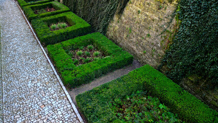 cut squares of flowerbed edging in a historic garden made of boxwood hedges. courtyard of castle along cobblestone path row of squares frozen ice, snowing  evergreen topiary, ivy, creeper, above, top