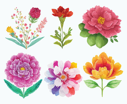 collection of flowers Beautiful Watercolor set of Design Ornaments