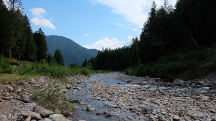 Fototapeta na wymiar Flusslauf in den Bergen von Italien im Norden
