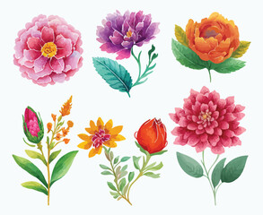 collection of flowers Beautiful Watercolor set of Design Ornaments