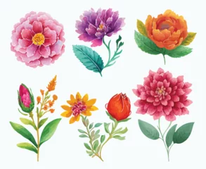 Foto op Canvas collection of flowers Beautiful Watercolor set of Design Ornaments © Jeba