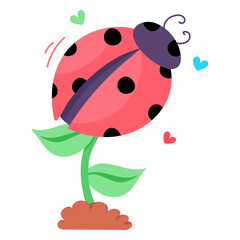 Ladybug  