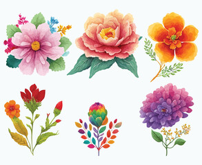 collection of flowers Beautiful Watercolor set of Design Ornaments