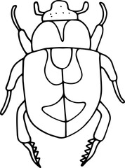 Hand drawn beetle icon in doodle style. Vector children's illustration for coloring.
