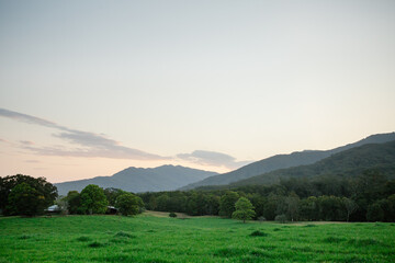 Horizontal shot of green grass field, trees and mountains