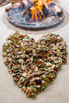 Bunya Nuts in heart shape