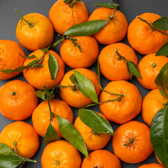 Orange tangerines with green leaves on a gray background. Top view. square