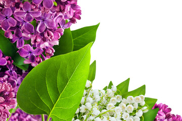 Lilac Blossoms and Lily of the Valley isolated on transparent background PNG cut out
